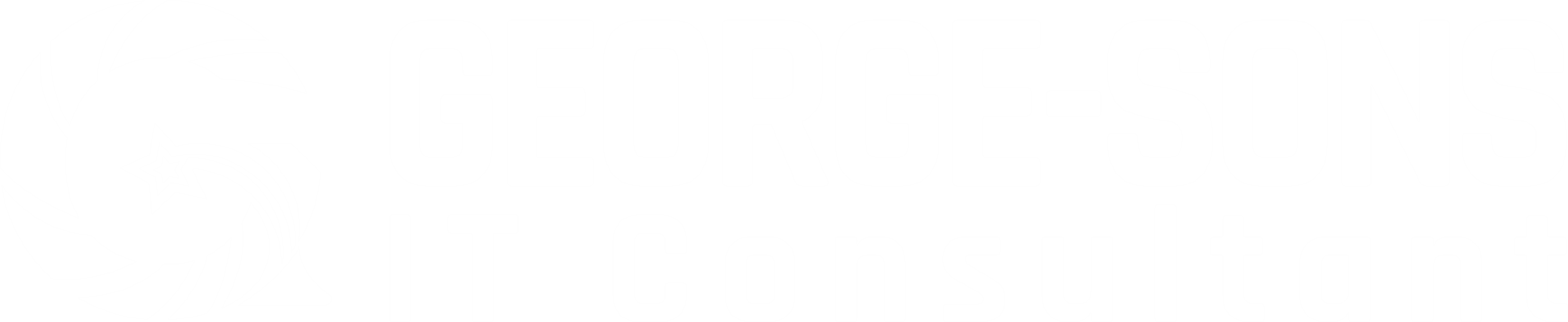 Georgesons LLC